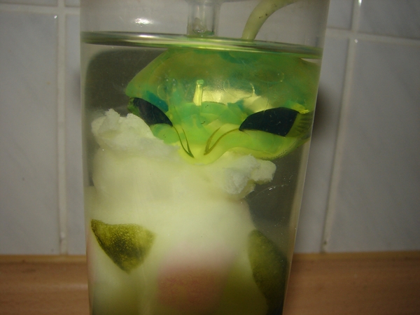 Alienzucht
