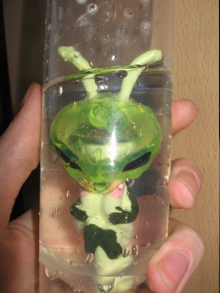 Alienzucht
