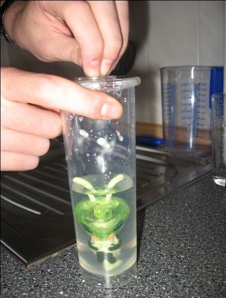 Alienzucht