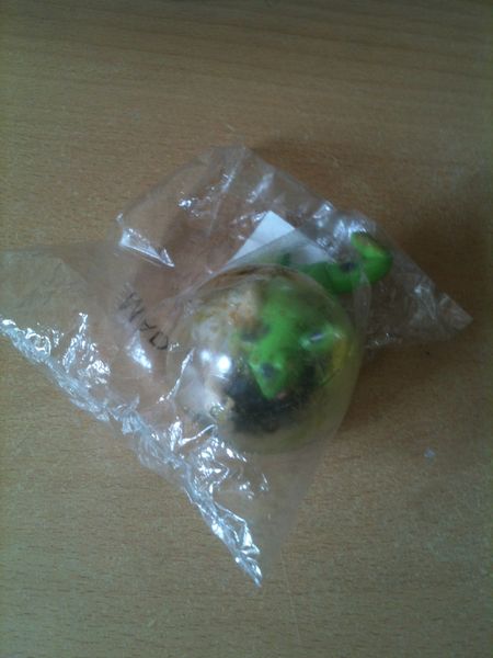 Blasenfrosch