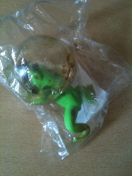 Blasenfrosch