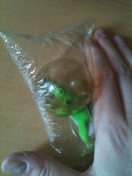 Blasenfrosch