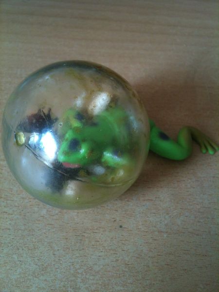 Blasenfrosch
