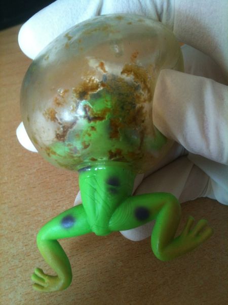 Blasenfrosch