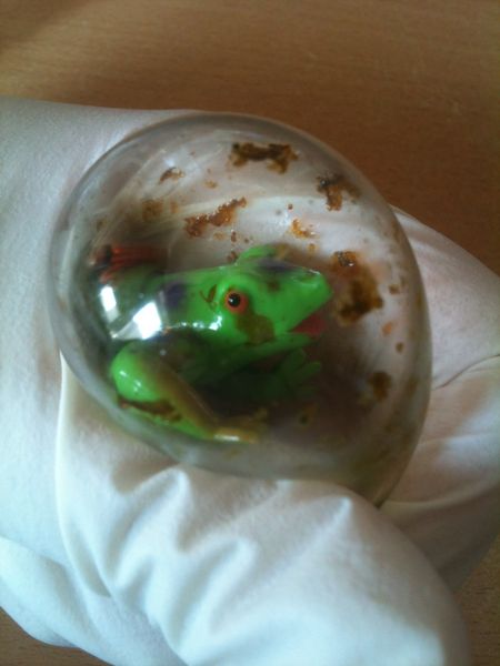 Blasenfrosch