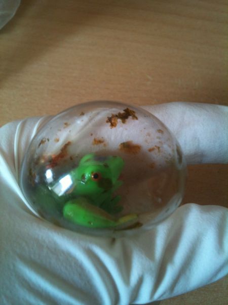 Blasenfrosch