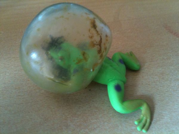 Blasenfrosch