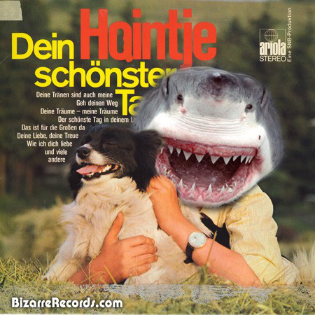 Haintje