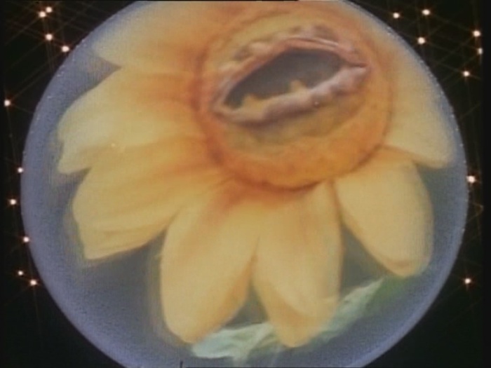 Power Rangers Monster - S01E24 - Spuckende Blume