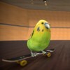 Skatebird - Vier Wellensittiche ohne Skateboard