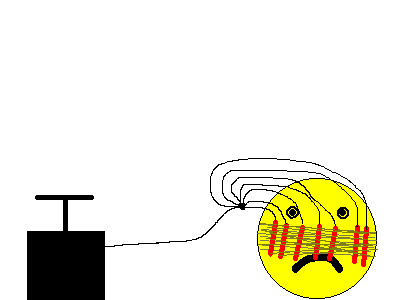 Smilie