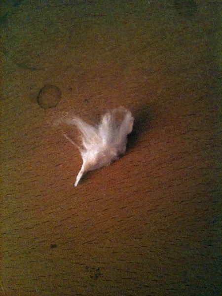 Trinkzuckerwatte